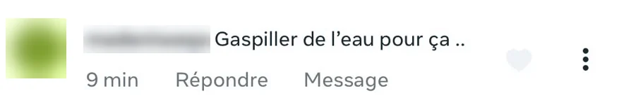 Commentaire : « Gaspiller de l’eau pour ça .. »